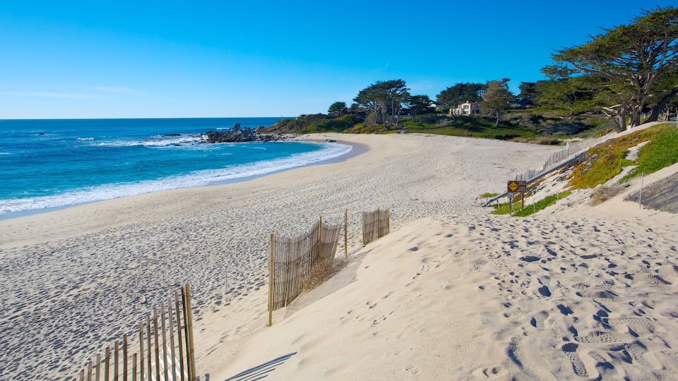 A sandy beach with footprints, a wooden fence, and a clear blue sky.