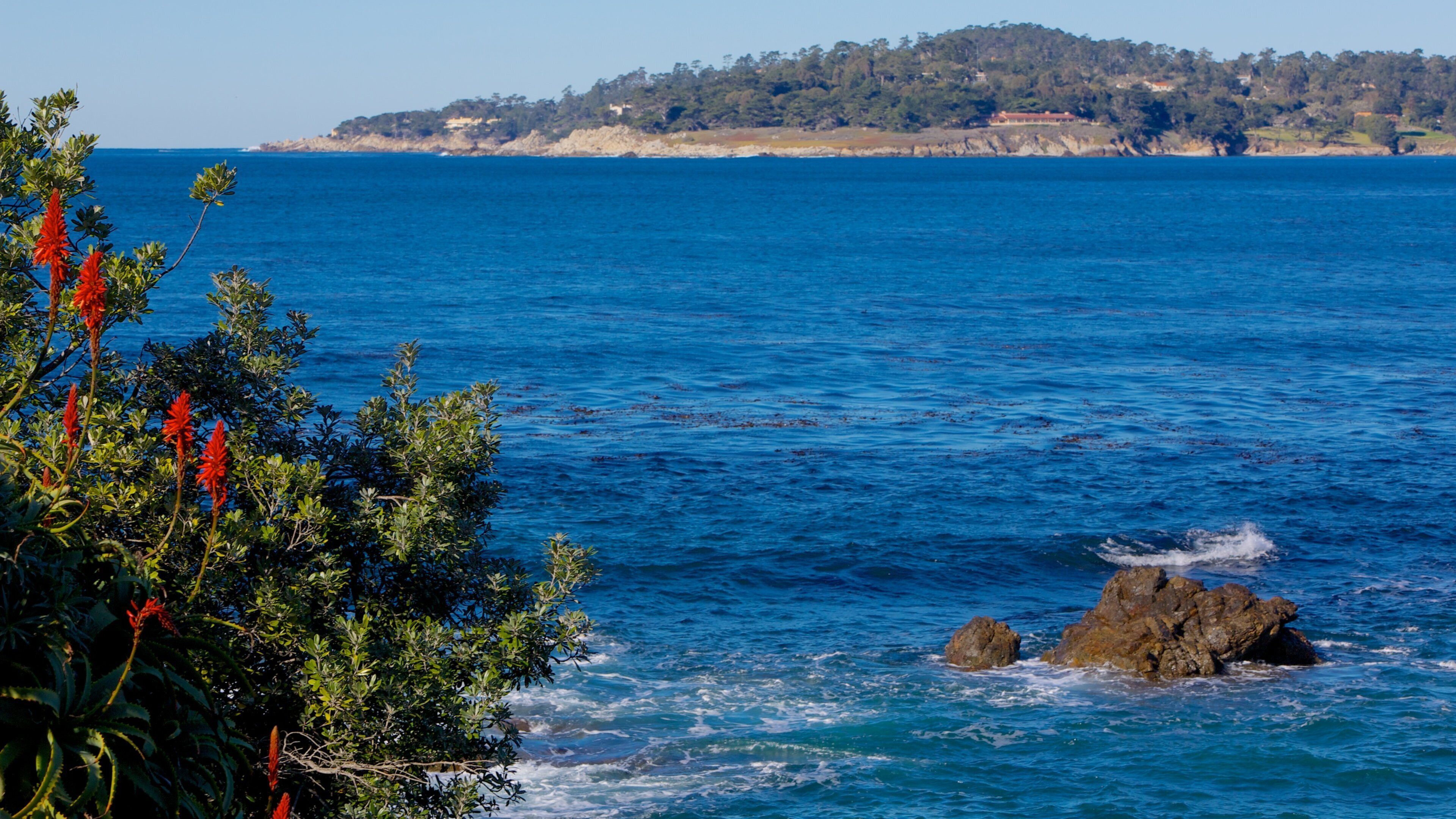 Carmel Beach showing general coastal views, rugged coastline and a sandy beach