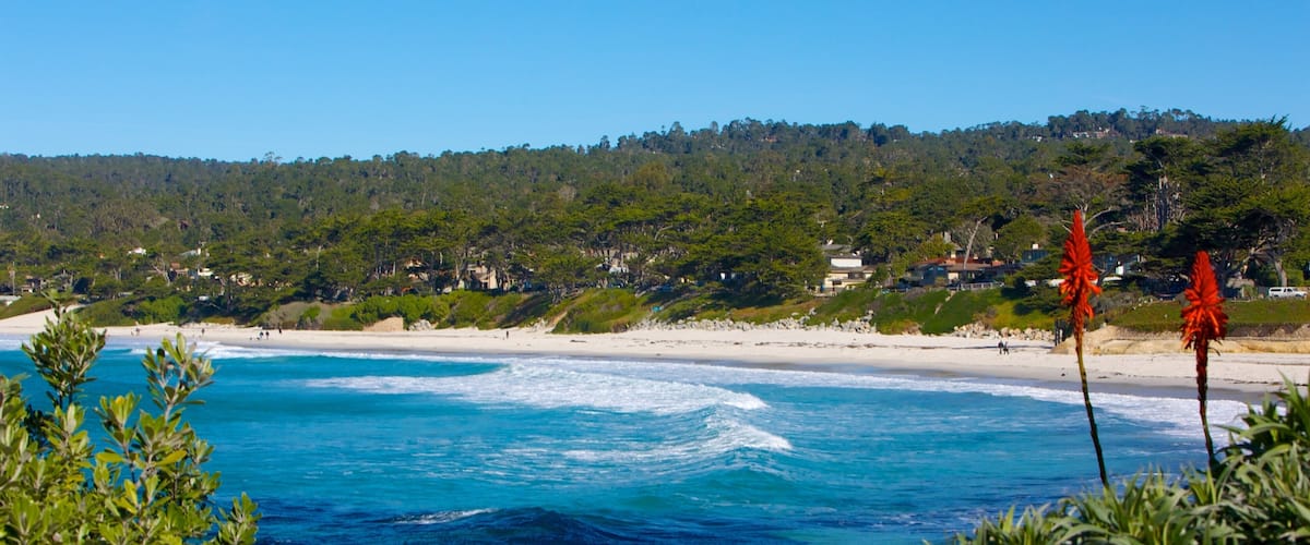 Carmel Beach which includes landscape views, general coastal views and a sandy beach