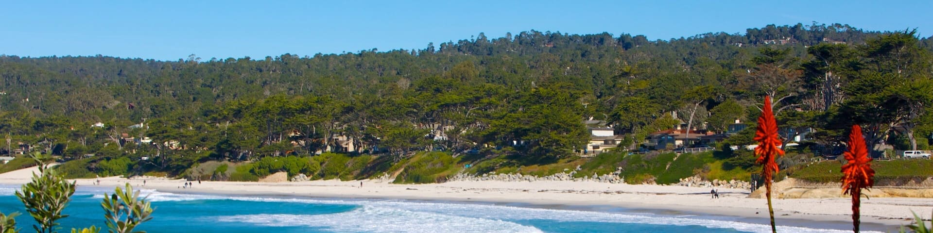 Carmel Beach which includes landscape views, general coastal views and a sandy beach
