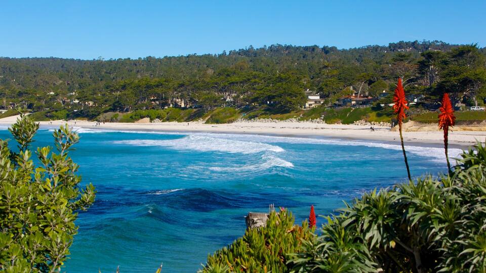Carmel Beach which includes landscape views, general coastal views and a sandy beach