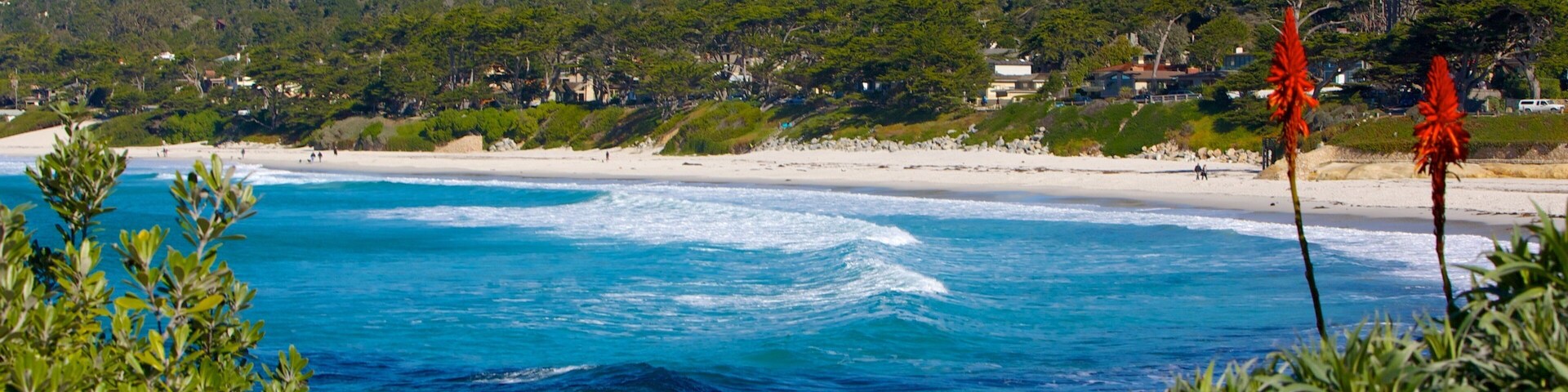 Carmel Beach which includes landscape views, general coastal views and a sandy beach