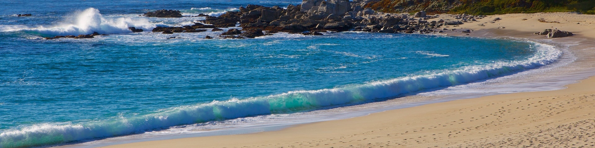 Carmel Beach which includes a beach and landscape views as well as an individual femail