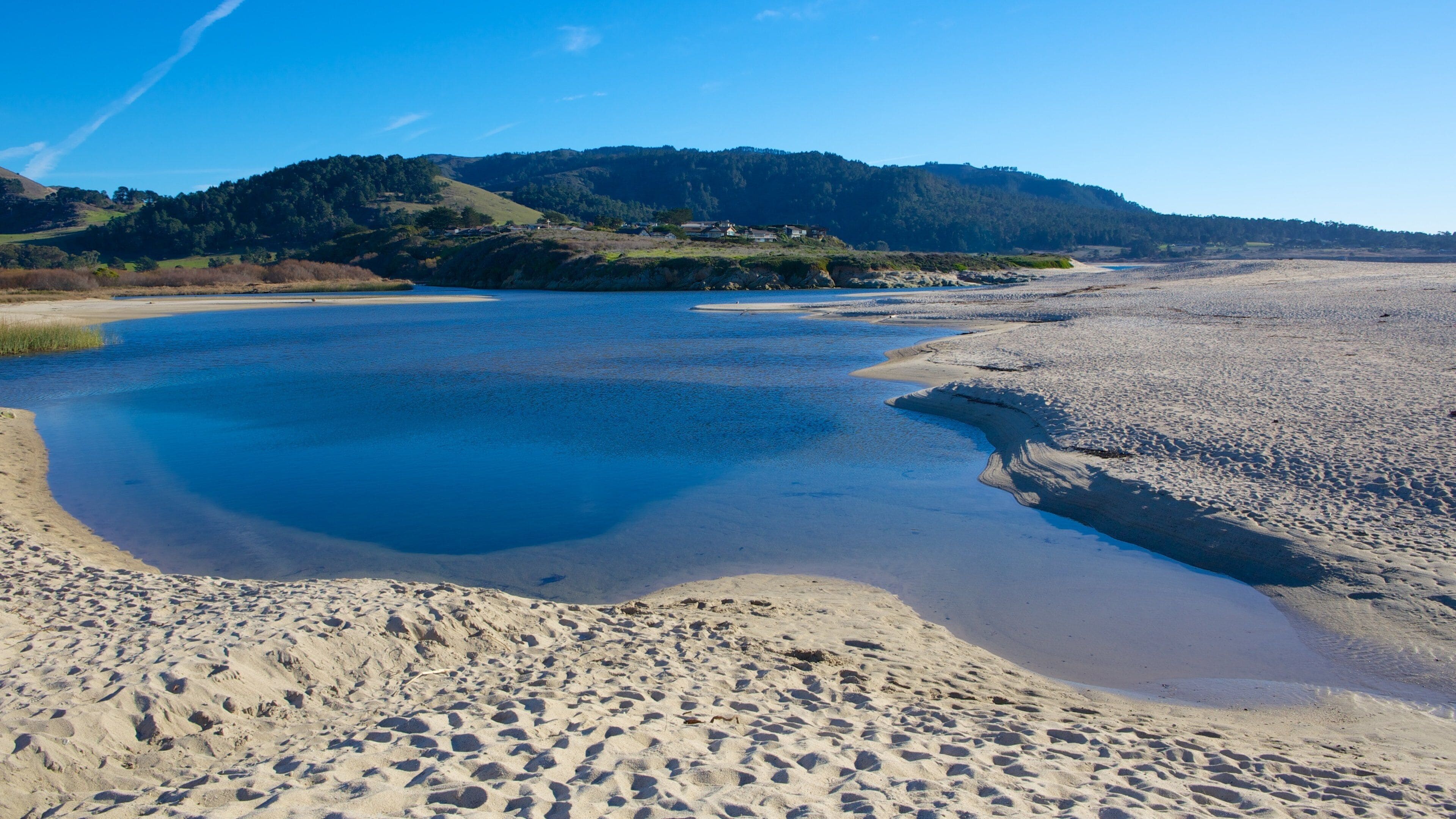 Carmel Beach showing landscape views, a sandy beach and tropical scenes