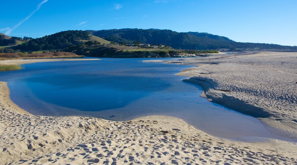 Carmel Beach showing landscape views, a sandy beach and tropical scenes
