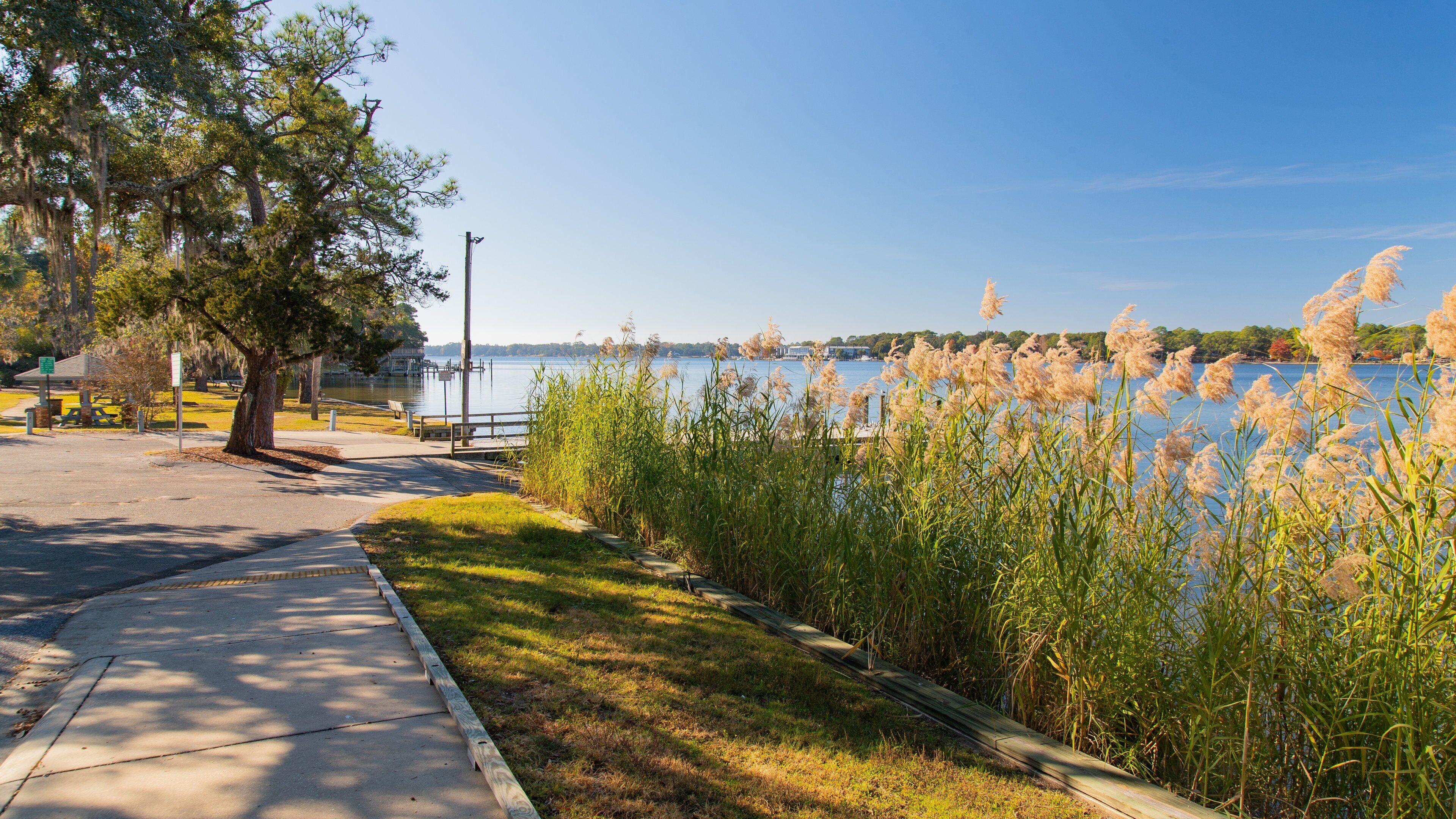 A lakeside park with a walking path, picnic tables, and tall grasses.