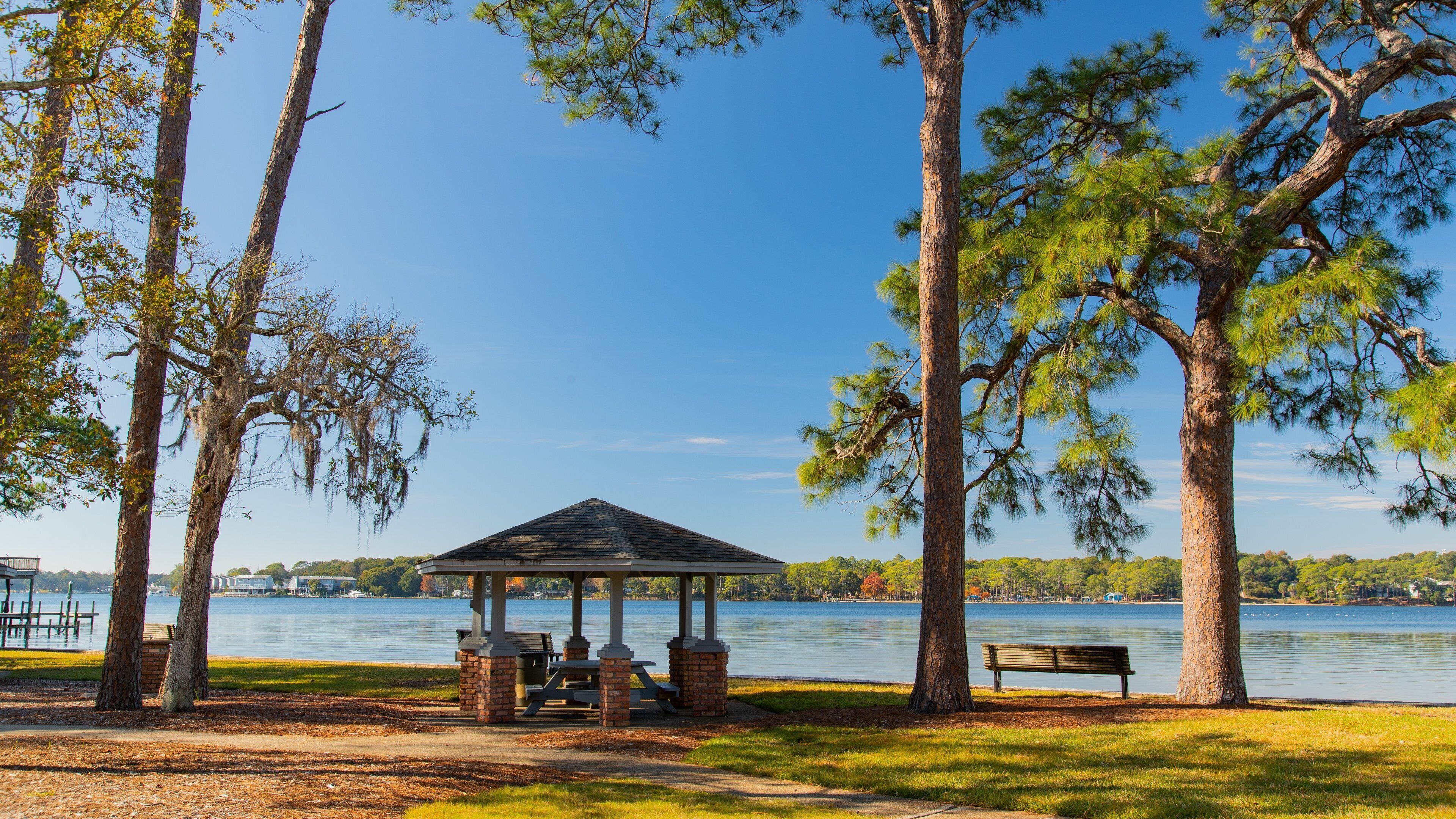 A lakeside gazebo with benches, surrounded by tall trees and a clear blue sky.
