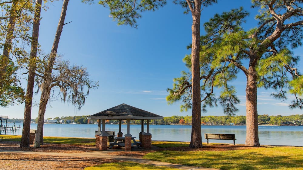 Un belvédère au bord du lac, doté de bancs, entouré de grands arbres et surplombant un ciel bleu azur.