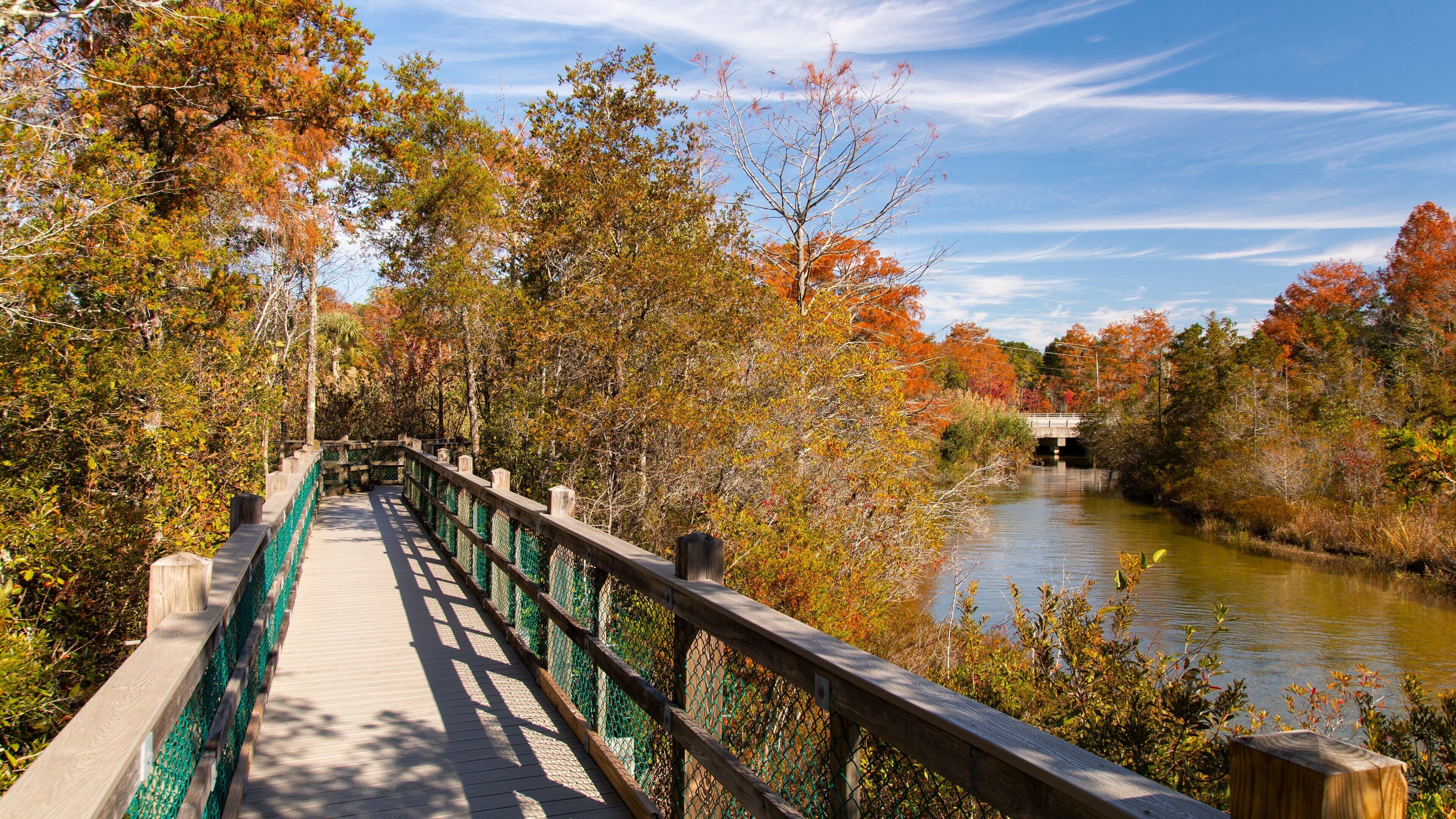 A wooden bridge with green railings over a river, surrounded by autumn-colored trees.