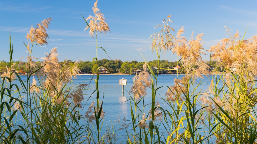 Fort Walton Beach - Destin which includes a lake or waterhole