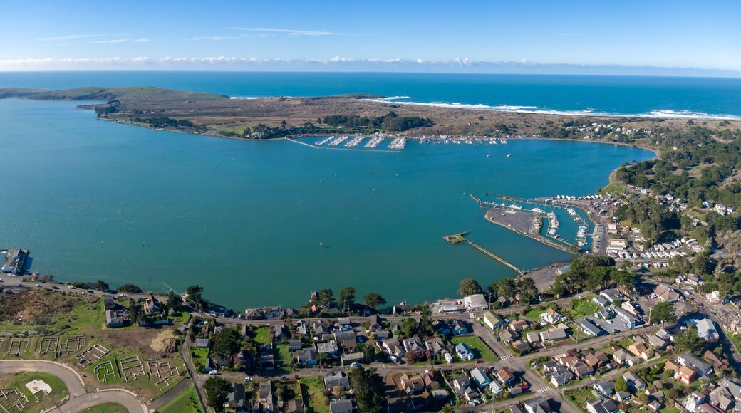 Aerial of ocean, township and marina in Bodega Bay, California, United States of America.
