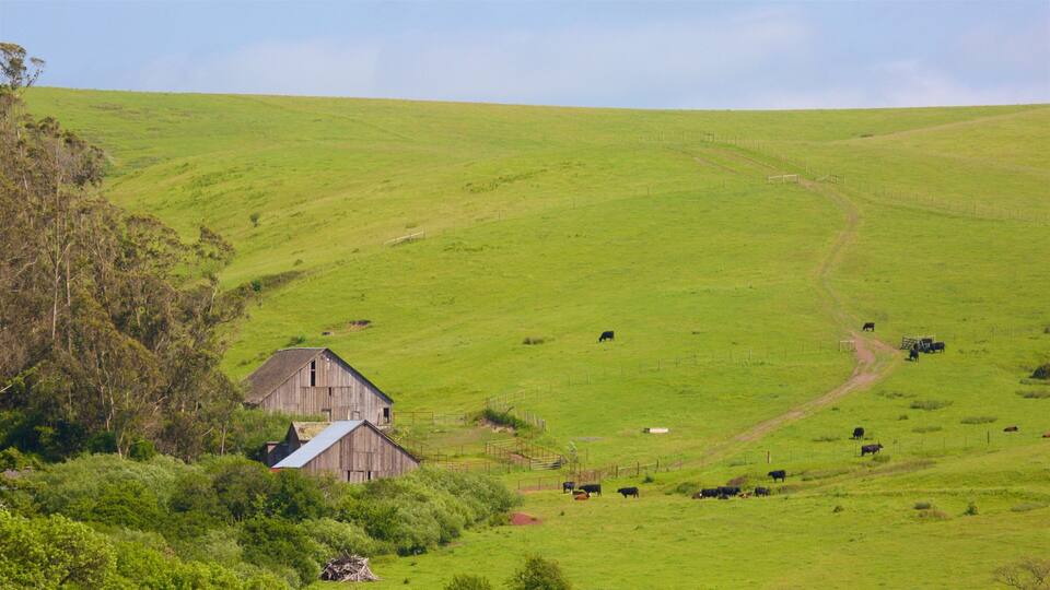 A green hillside with a barn and cattle grazing.