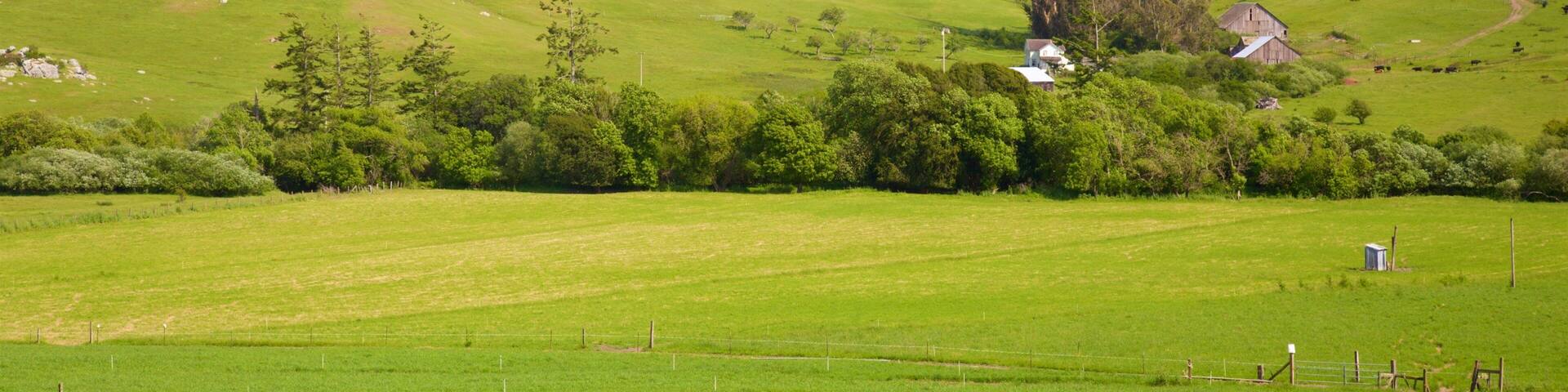 Bodega which includes tranquil scenes and landscape views