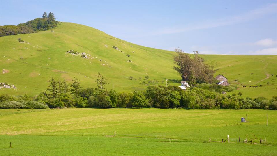 Rolling green hills, a few scattered trees, and a small cluster of buildings.