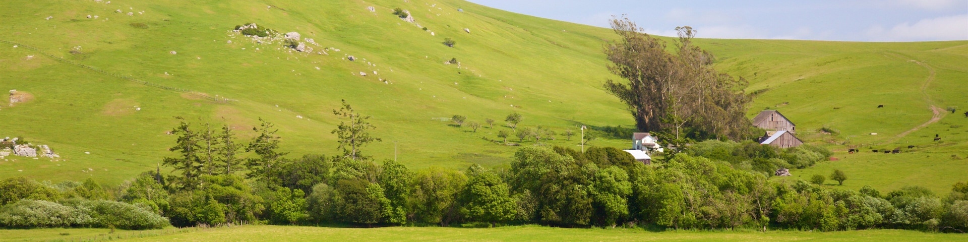 Bodega which includes tranquil scenes and landscape views