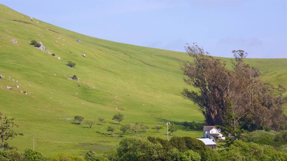 A green hillside with scattered rocks, a large tree, and a small house.