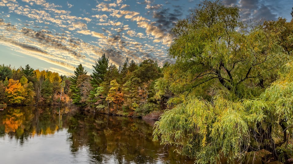 A calm river reflecting trees with autumn foliage, surrounded by a forest.