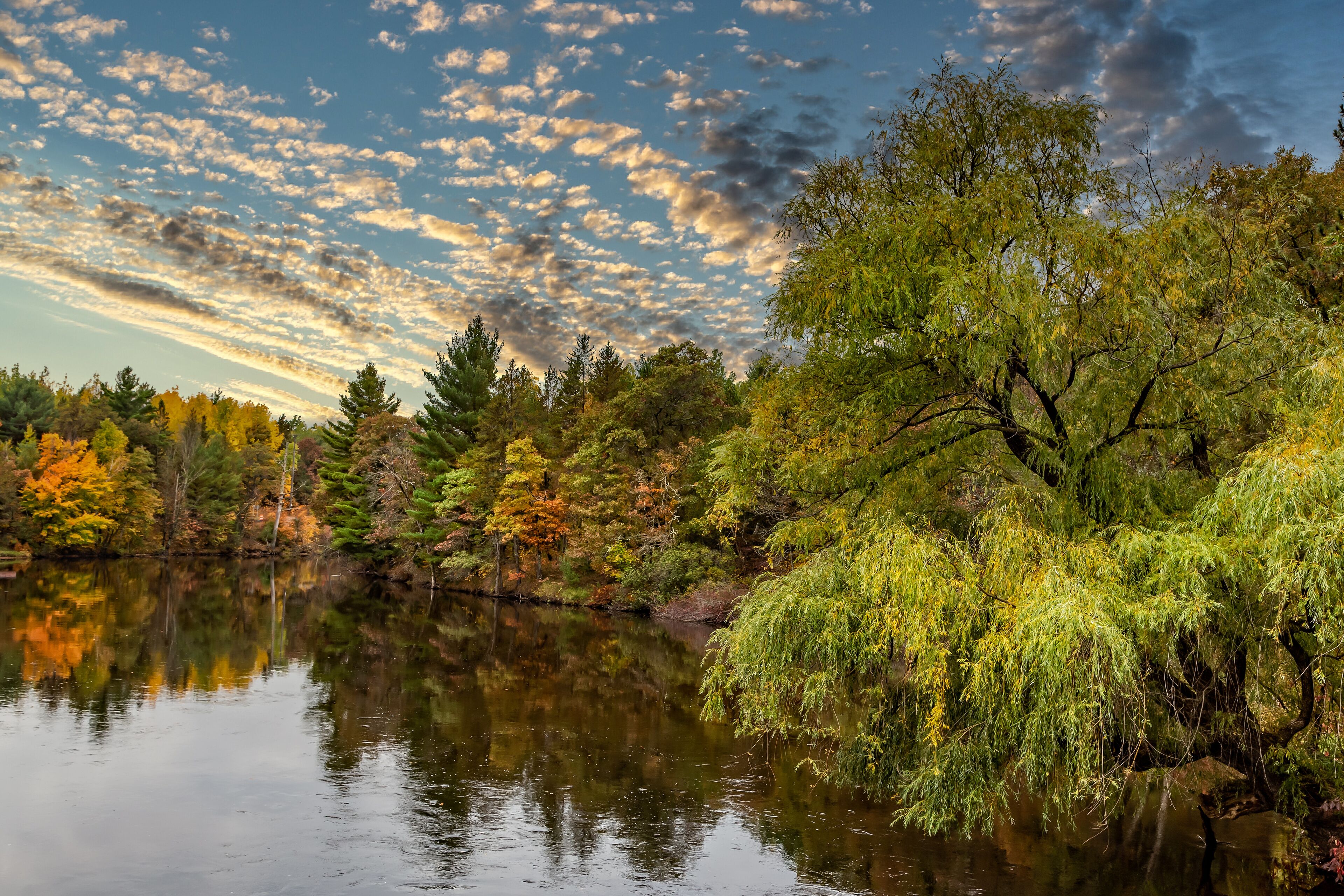 A calm river reflecting trees with autumn foliage, surrounded by a forest.