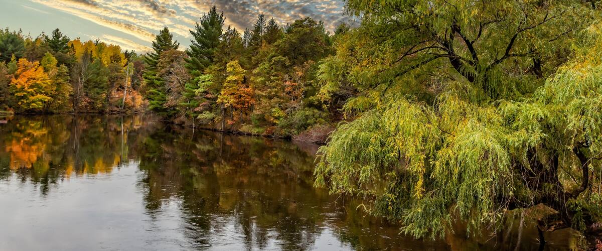 A calm river reflecting trees with autumn foliage, surrounded by a forest.