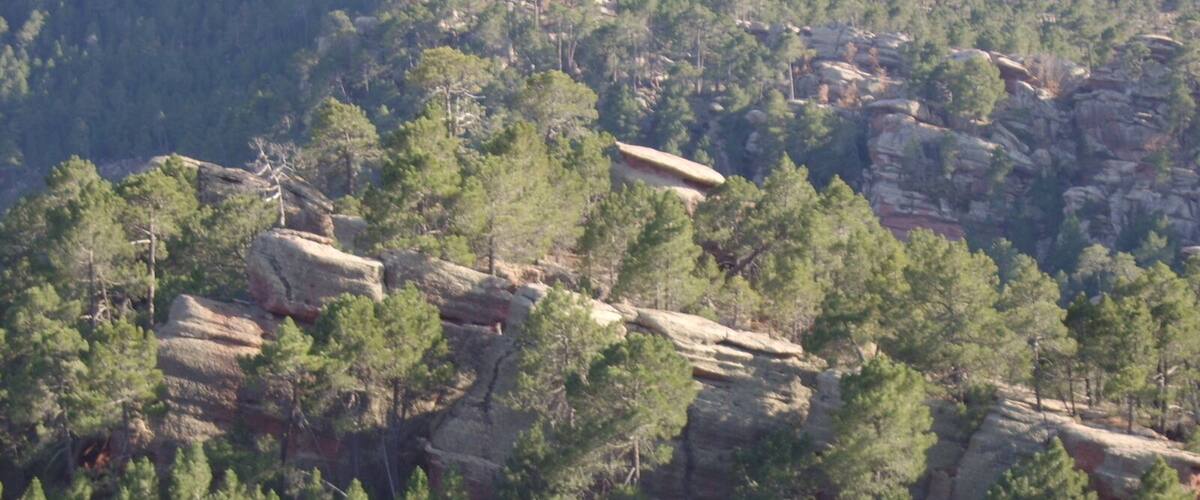 A mountainous landscape with dense pine forests and rocky outcrops.