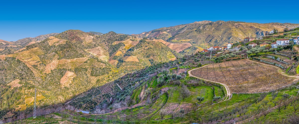 Panoramic view of the typical landscape of the Douro, in the north of Portugal