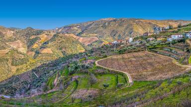 Panoramic view of the typical landscape of the Douro, in the north of Portugal