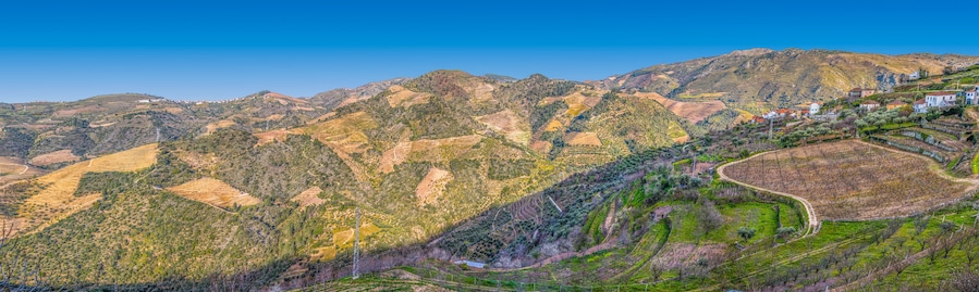 Panoramic view of the typical landscape of the Douro, in the north of Portugal