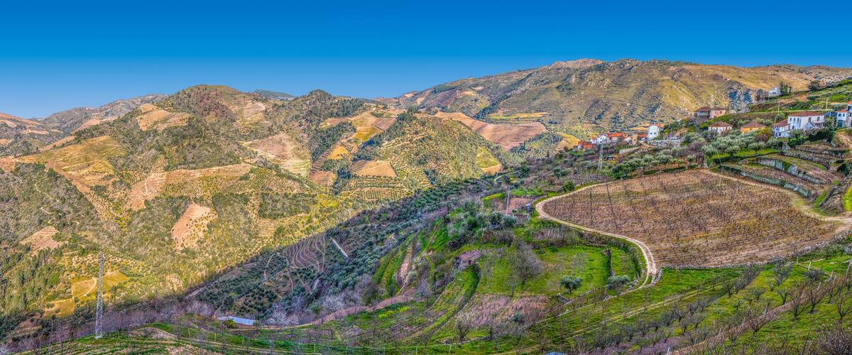 A mountainous landscape with terraced vineyards and scattered houses.