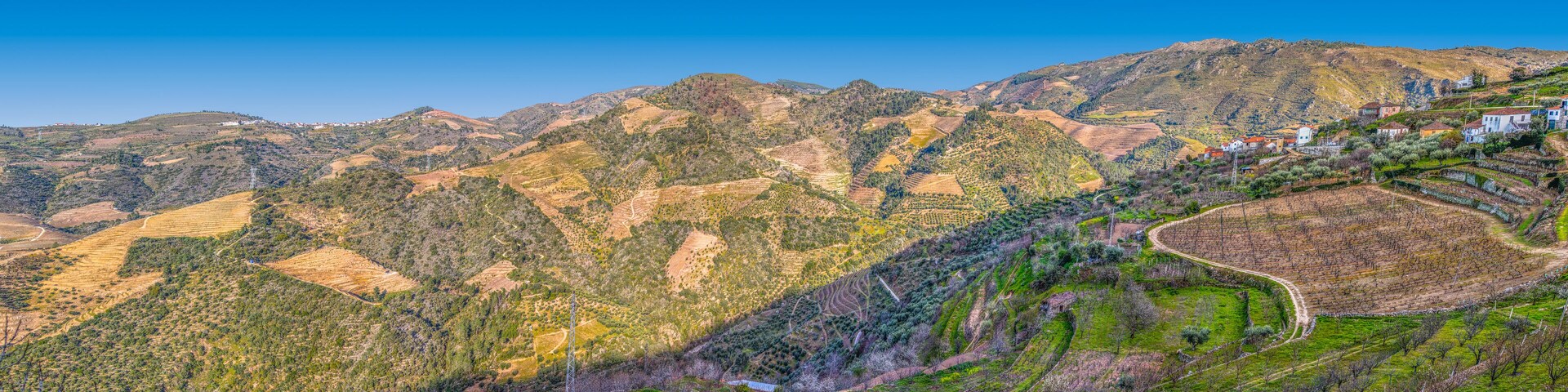 A mountainous landscape with terraced vineyards and scattered houses.
