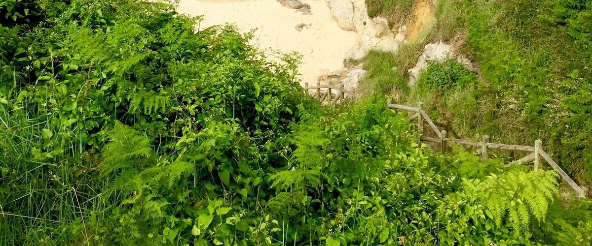 A coastal landscape with a sandy beach, rocky outcrops, and lush greenery.
