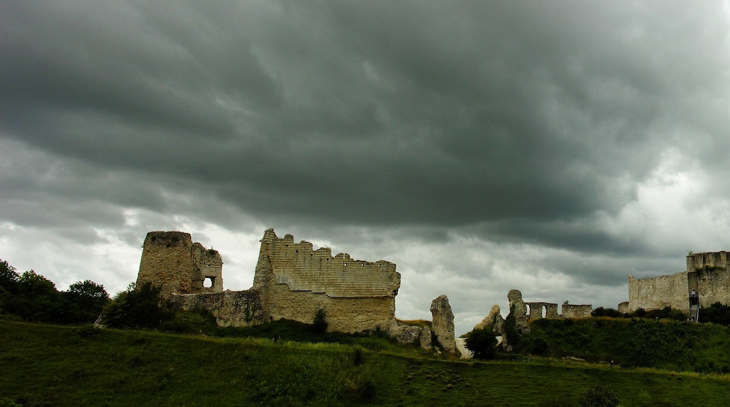 Château Gaillard ist eine zerstörte mittelalterliche Festung im Zentrum des Vexin normand in der Gemeinde Les Andelys und im Département Eure, 100 Kilometer von Paris entfernt. Sie wurde von Richard Löwenherz, König von England beherrschend über dem Tal der Seine auf einem Kalkfelsen errichtet. Der Bau hat rund 50.000 Livres gekostet. Deutsch de.wikipedia.org/wiki/Ch%C3%A2teau_Gaillard English en.wikipedia.org/wiki/Ch%C3%A2teau_Gaillard Français fr.wikipedia.org/wiki/Ch%C3%A2teau_Gaillard_%28Les_Andely... - Feel free to use this image on any media (except for illegal content), but please tell me where you have used it (e.g. Link). - Fühlt euch frei das Foto zu verwenden (außer bei illegalen Inhalten), aber seit so nett und teilt mir mit wo ihr es benutzt habt (z.B. Link). Thomas Ulrich, Hamburg, Germany 2010