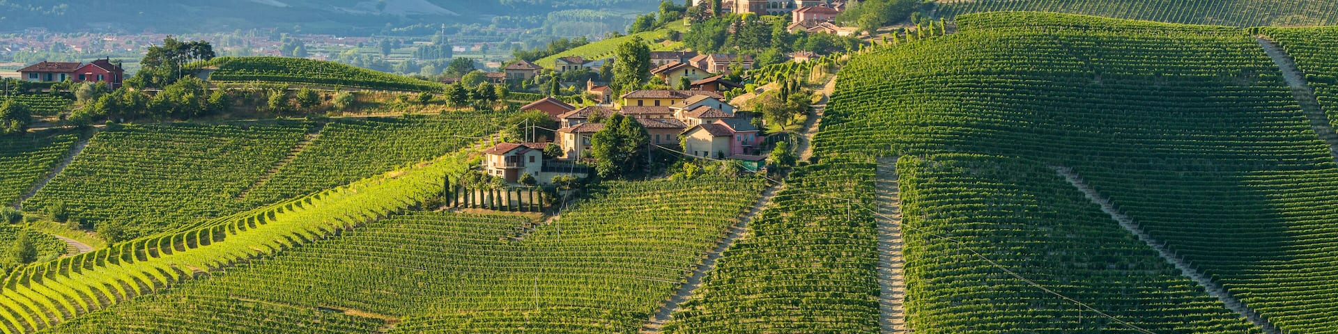 Beautiful hills and vineyards surrounding Barbaresco village in the Langhe region. Cuneo, Piedmont, Italy.