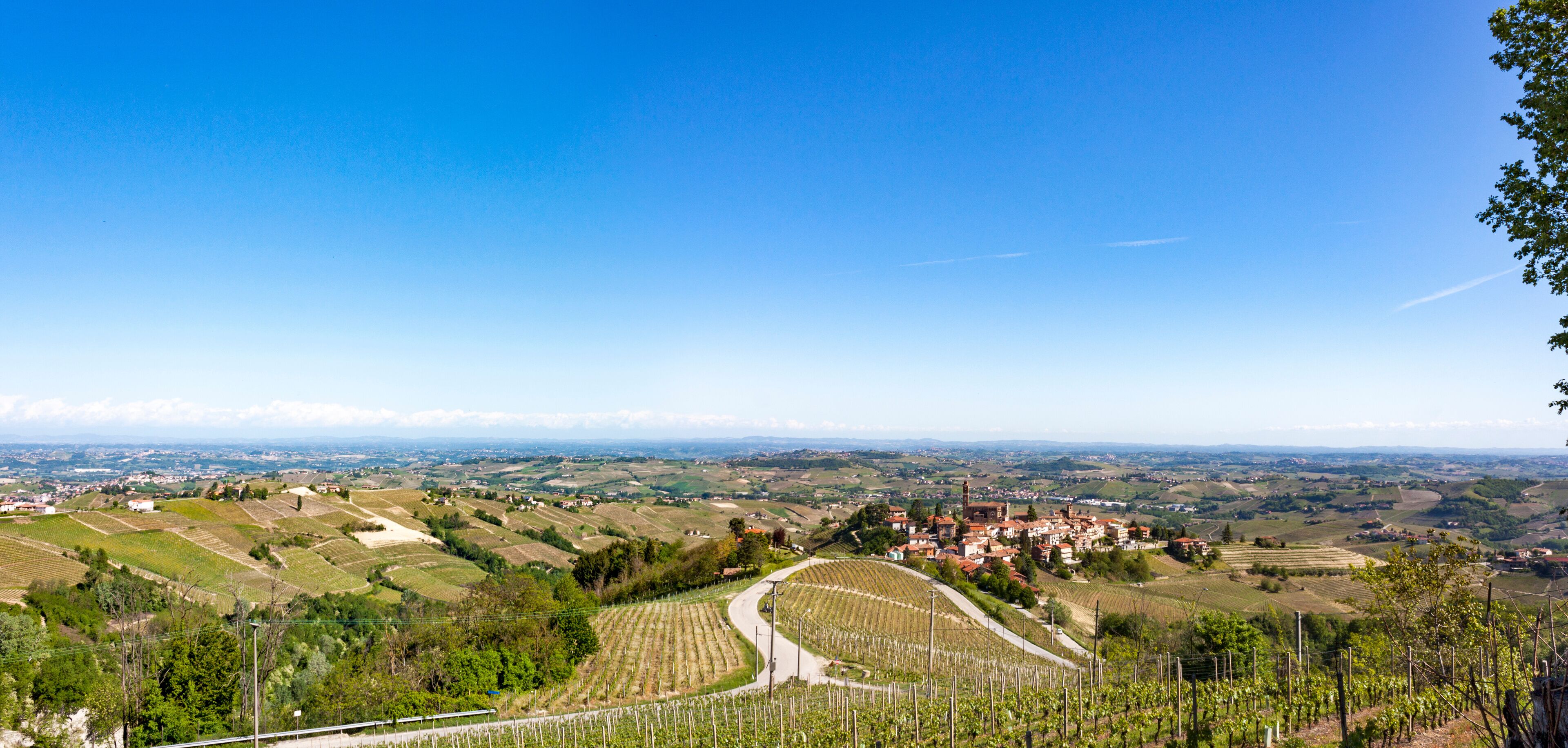 Aerial view of the vineyards of Castiglione Tinella, Piedmont.