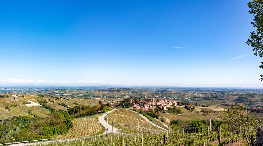 Aerial view of the vineyards of Castiglione Tinella, Piedmont.