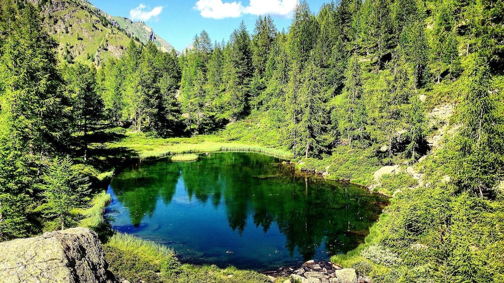 Ein klarer Bergsee, umgeben von dichtem Wald und felsigem Gelände.
