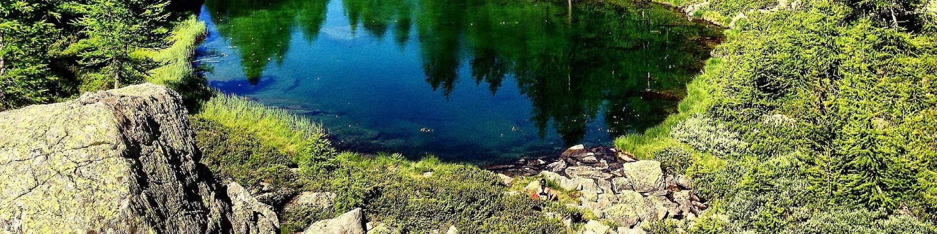 A place came out from fairytales.
Alpe Larecchio is a beautiful grassy valley surrounded by larch trees, crossed by a winding river full of fish and dominated north by Corno Bianco (3320m slm).