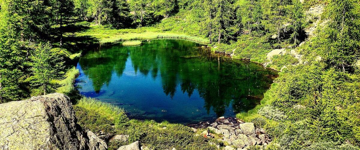 A clear mountain lake surrounded by dense forest and rocky terrain.