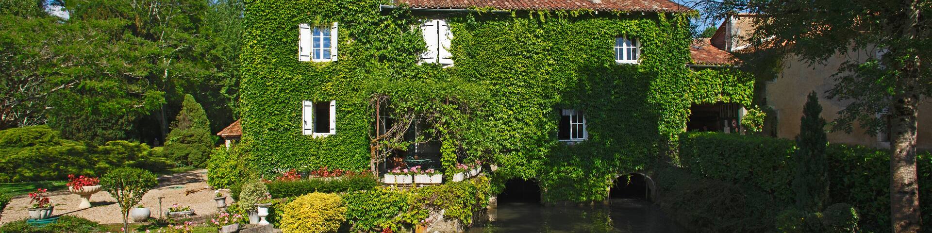 Maison moulin à eau et à huile couverte de lierre et vigne vierge sous le soleil d'été. Campagne de Périgueux, Sud-Ouest de la France.