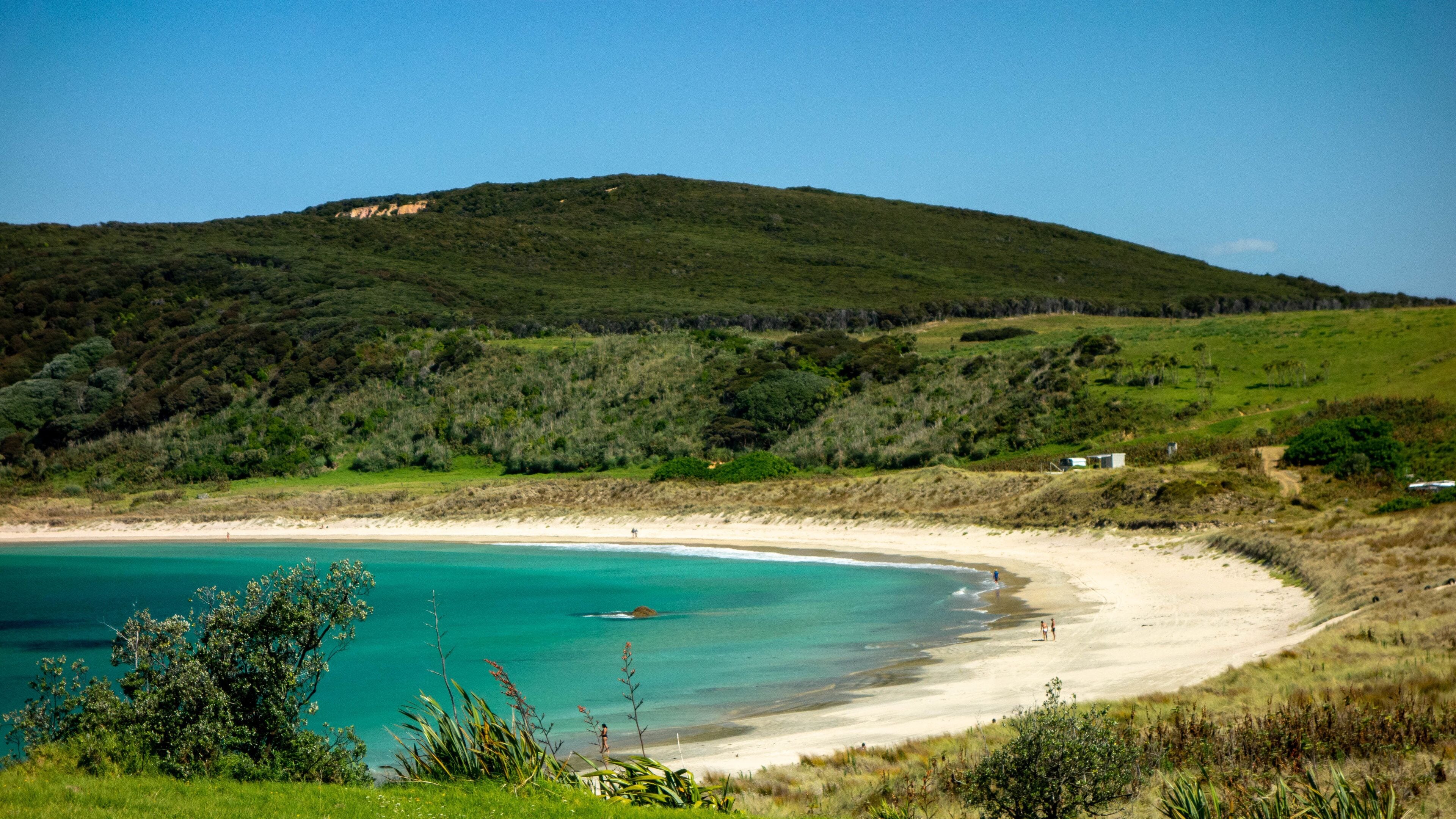 Doubtless Bay showing a beach, general coastal views and landscape views