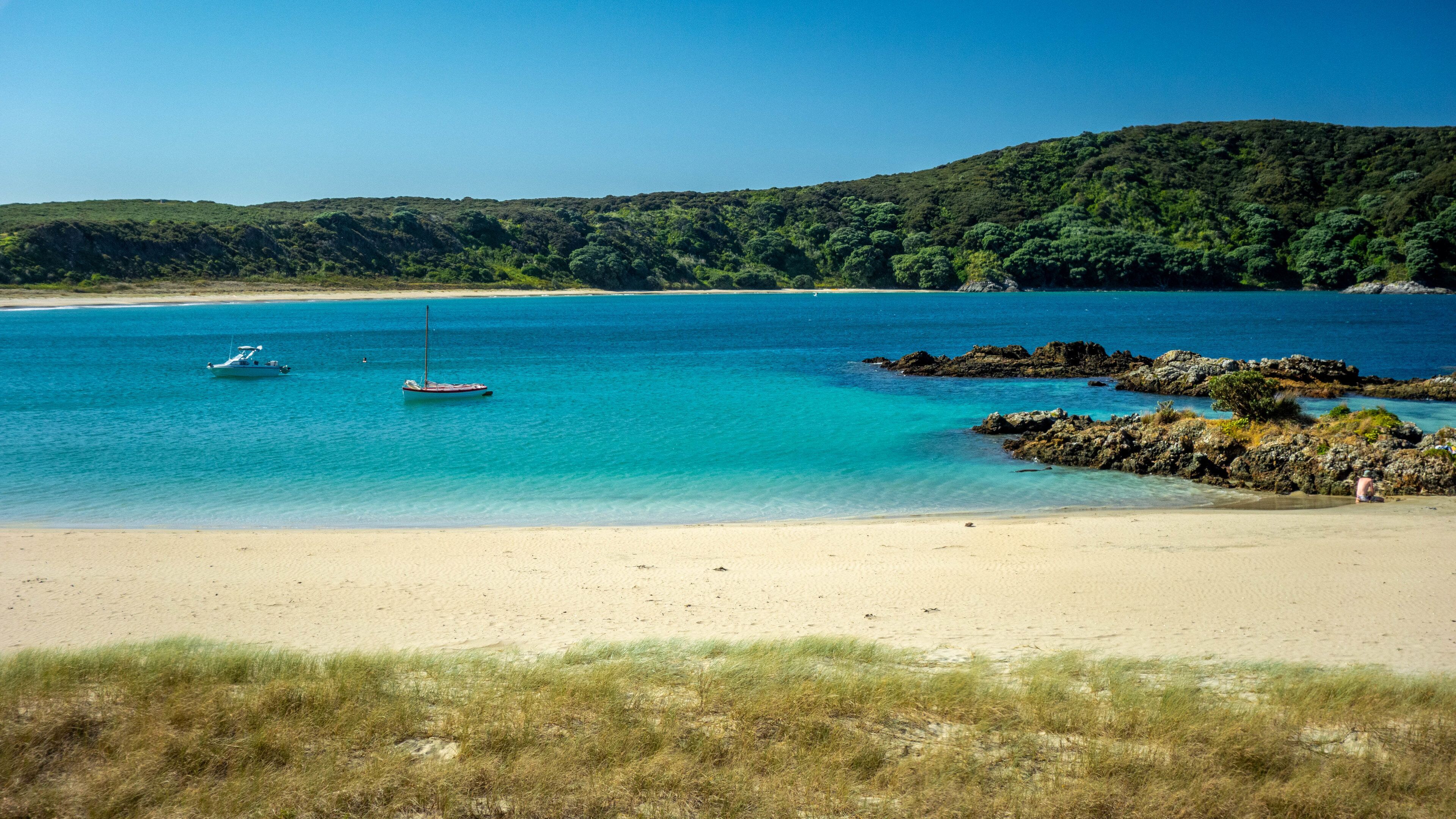Doubtless Bay featuring a beach