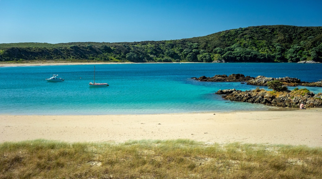 Doubtless Bay featuring a beach