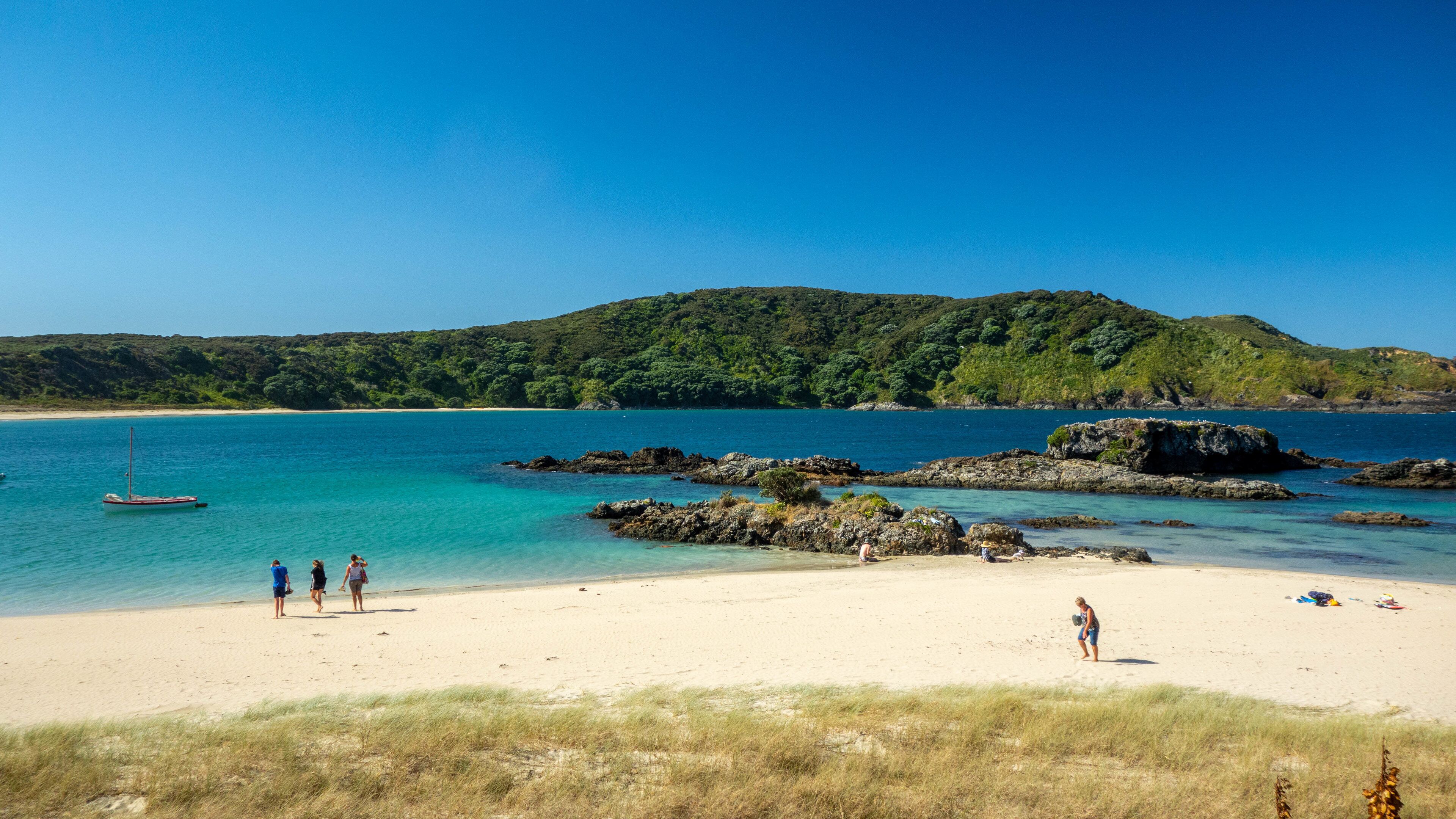 Doubtless Bay featuring general coastal views, rugged coastline and a sandy beach