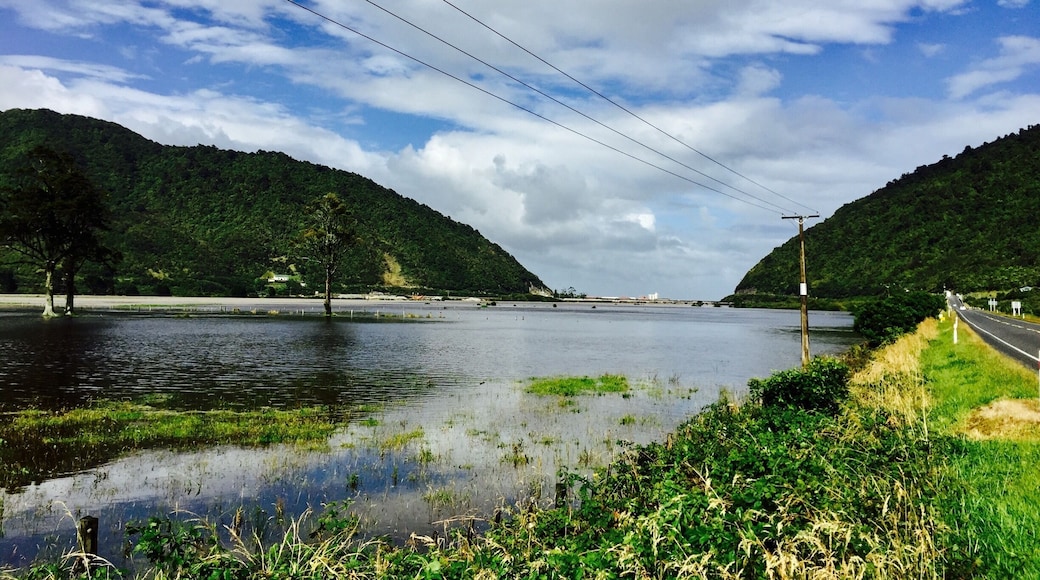 #newzealand #greymouth #nature #green 🌿🌱🍃