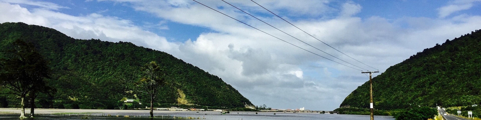 #newzealand #greymouth #nature #green 🌿🌱🍃