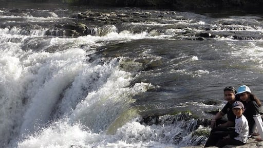 #TroveOn Beautiful site just a few kms from Paihia. If clicked from a particular angle, one can get a picture that feels we are very close to the falls, even though we are at a safe distance.