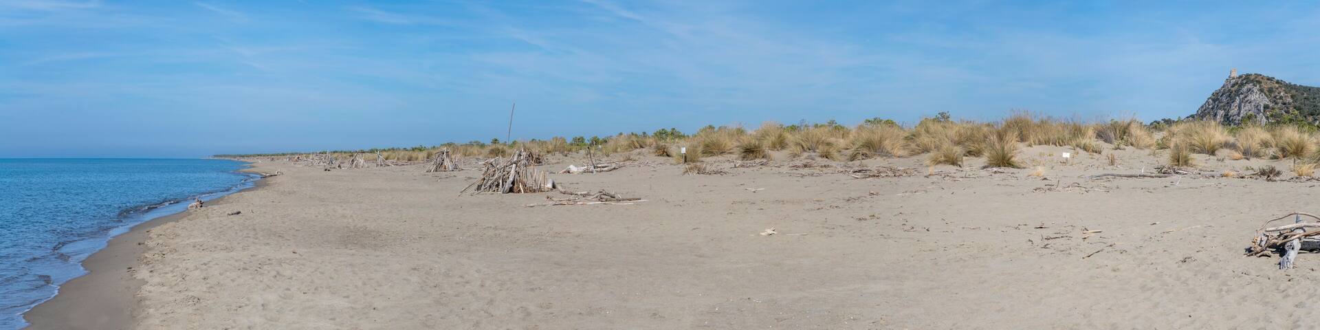 A sandy beach with sparse vegetation and a rocky hill in the distance.