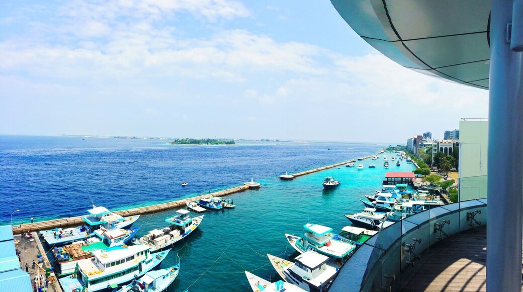 View from Salt cafe'