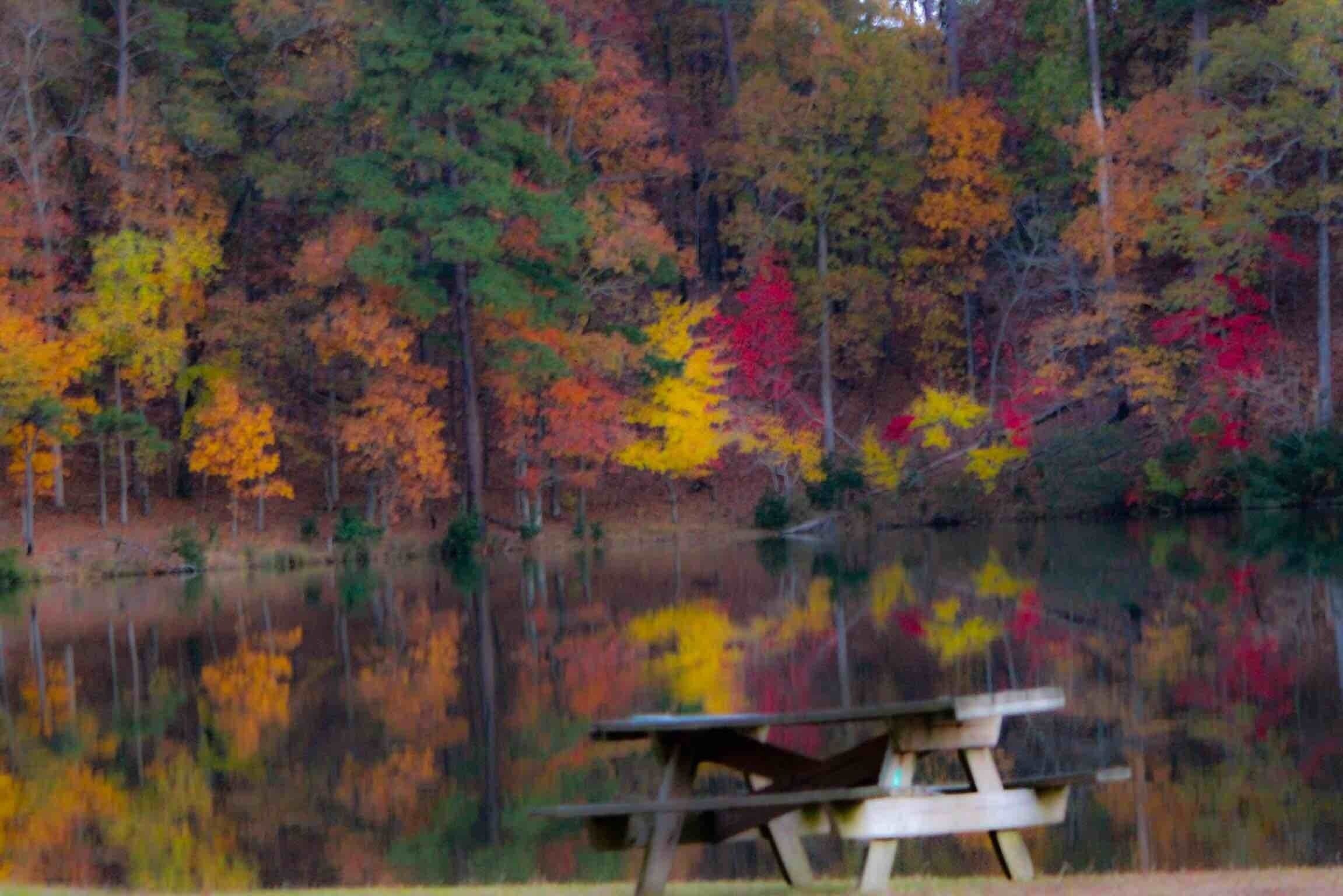 Fall in Mississippi.