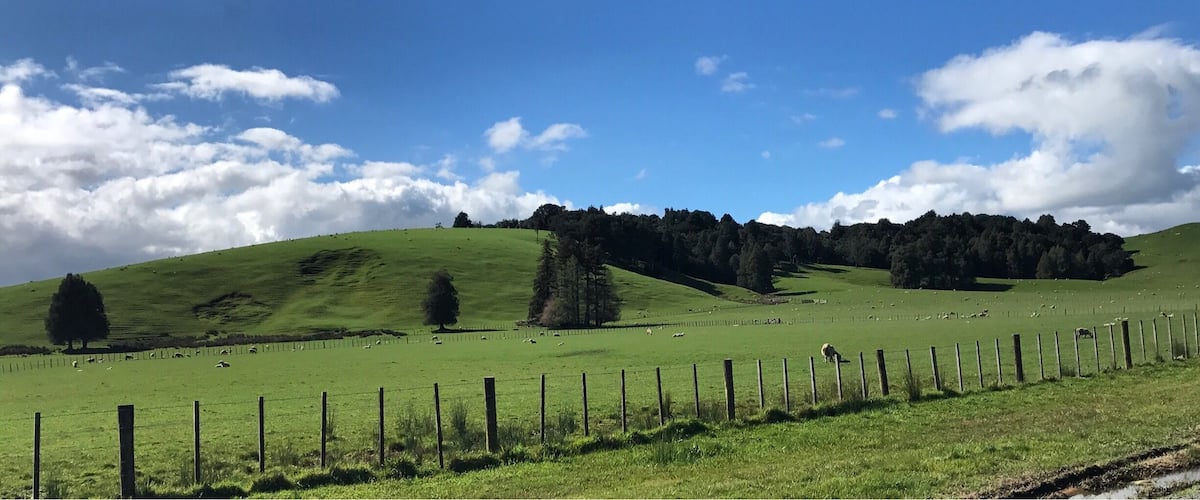 A green field with a fence, trees, and a hill.