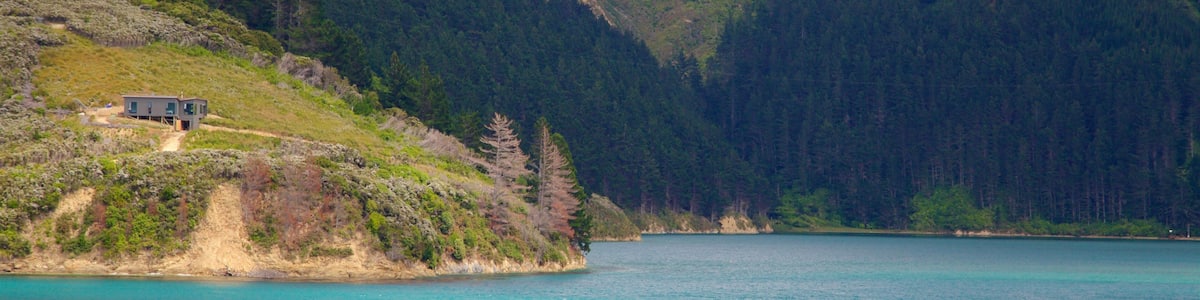 Queen Charlotte Sound welches beinhaltet Waldmotive und Bucht oder Hafen